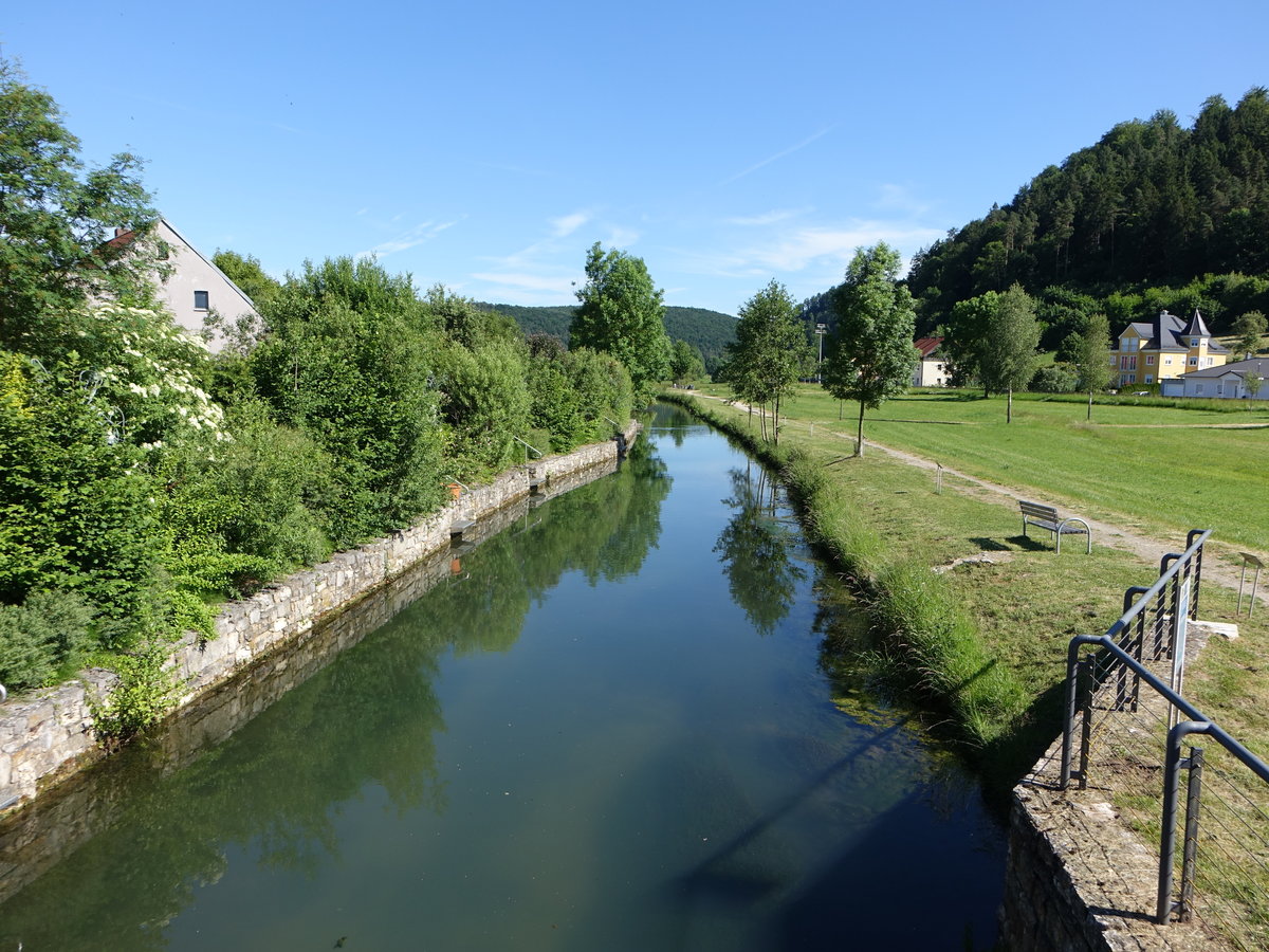 Bach Lauterach bei Schmidmühlen, Lkr. Amberg (11.06.2017)