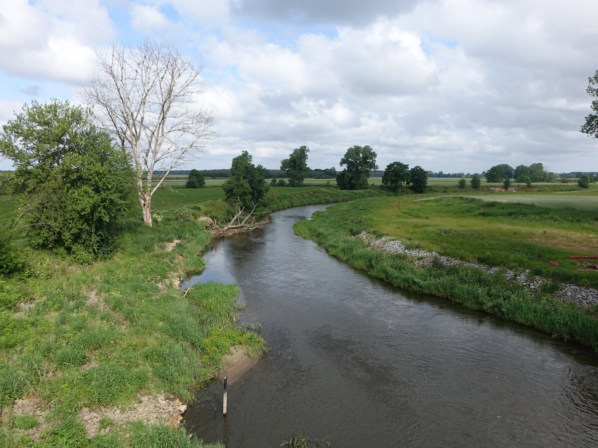 Bach Trzemma bei Goluchow, Großpolen (13.06.2021)