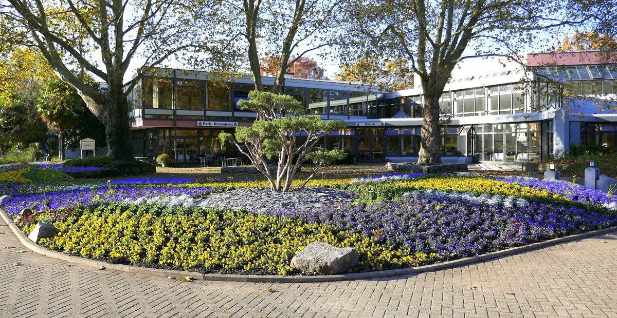 Bad Krozingen, Blumenrabatte im Kurpark vor dem Kurhaus im November 2019