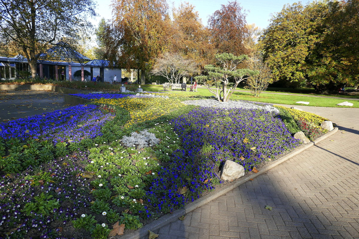 Bad Krozingen, Blumenrabatte im Kurpark vor dem Kurhaus im November 2019