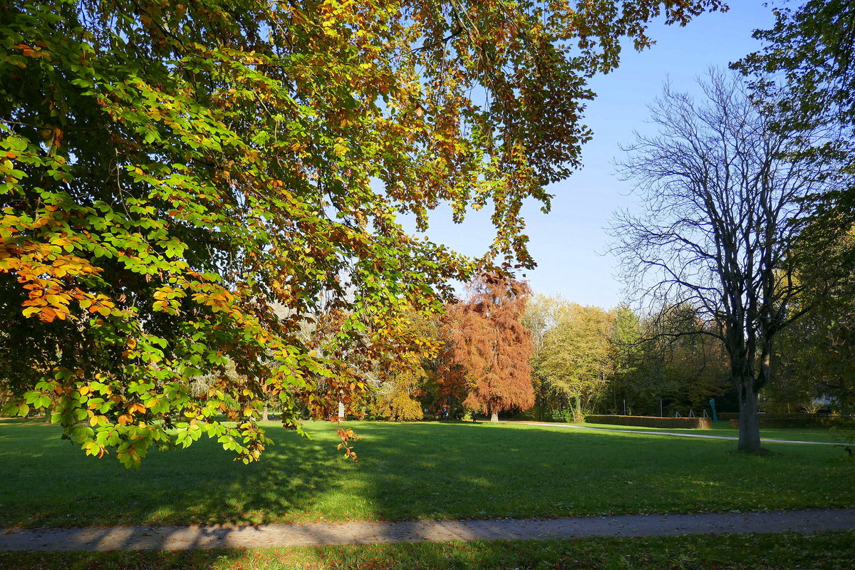 Bad Krozingen, Herbststimmung im Kurpark, Nov.2019