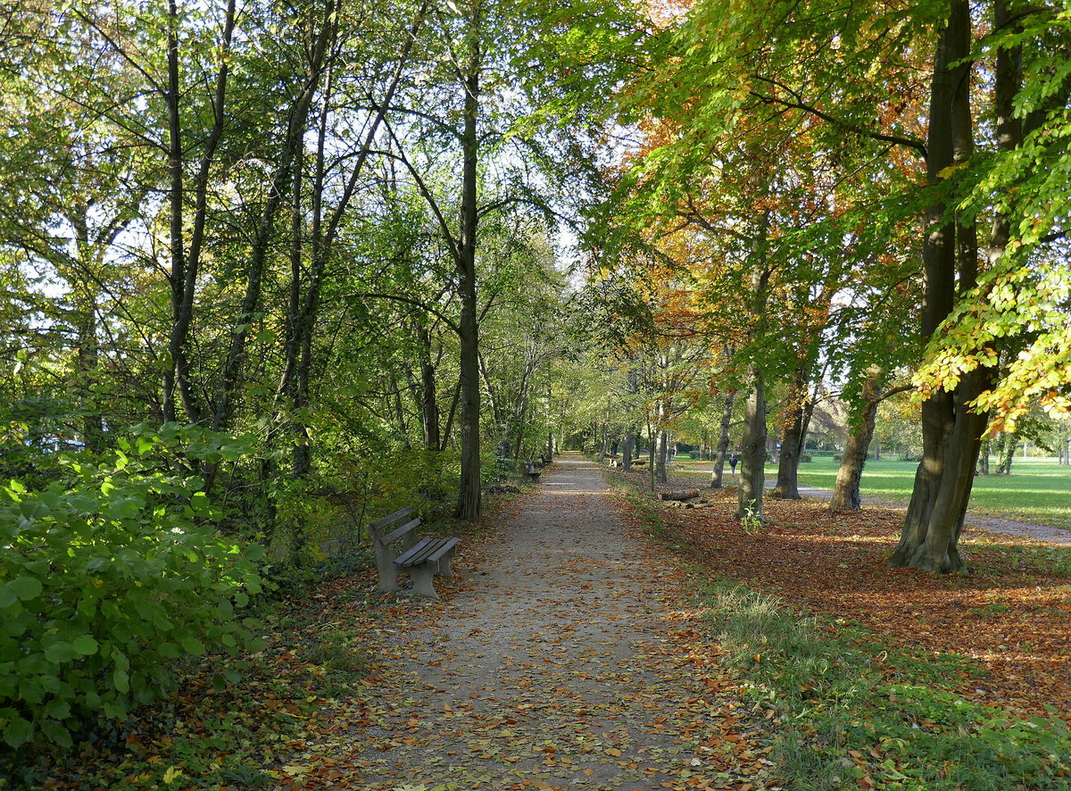 Bad Krozingen, Herbststimmung im Kurpark, Nov.2019