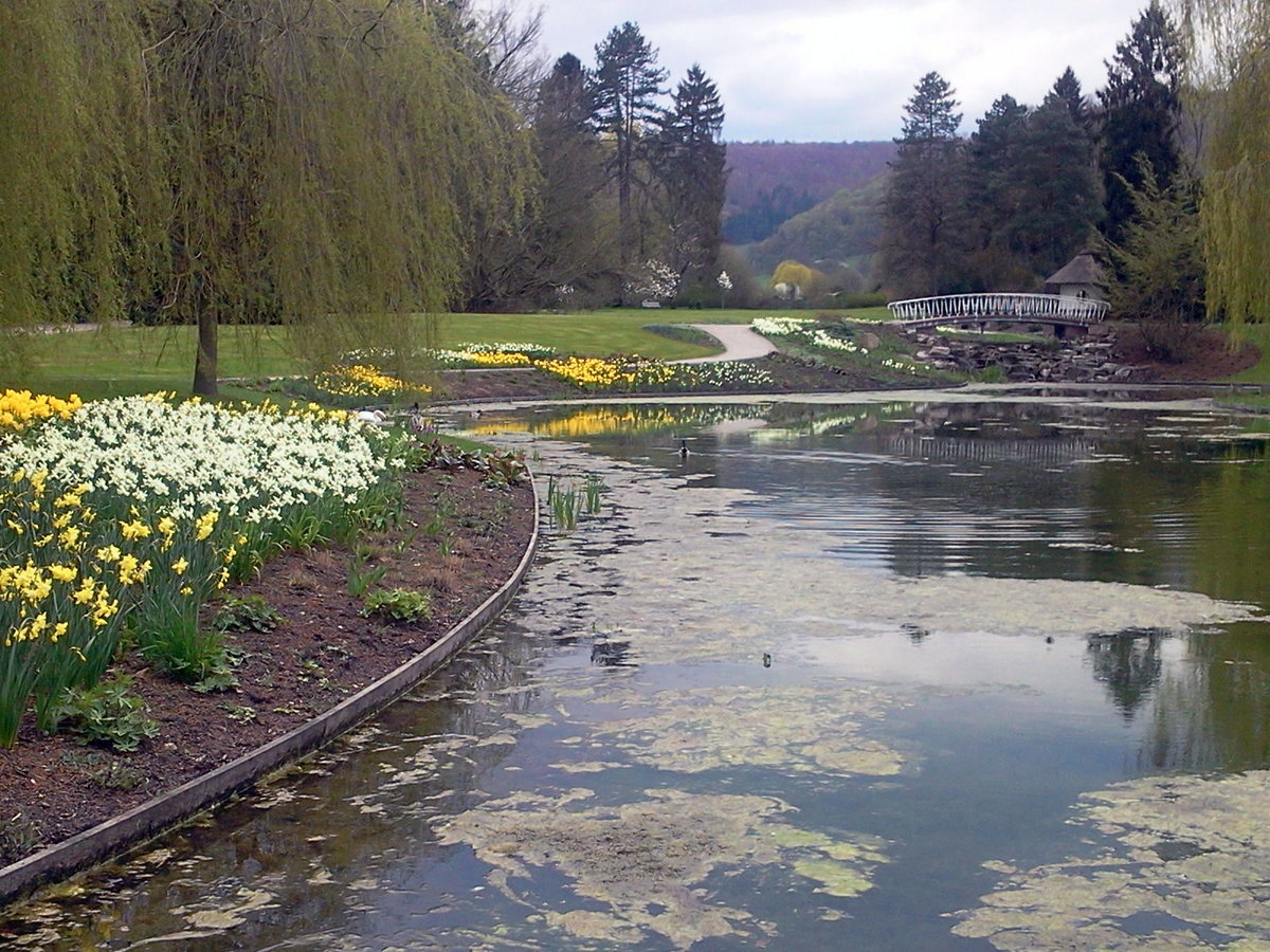 Bad Pyrmont , Kurpark im April 2016