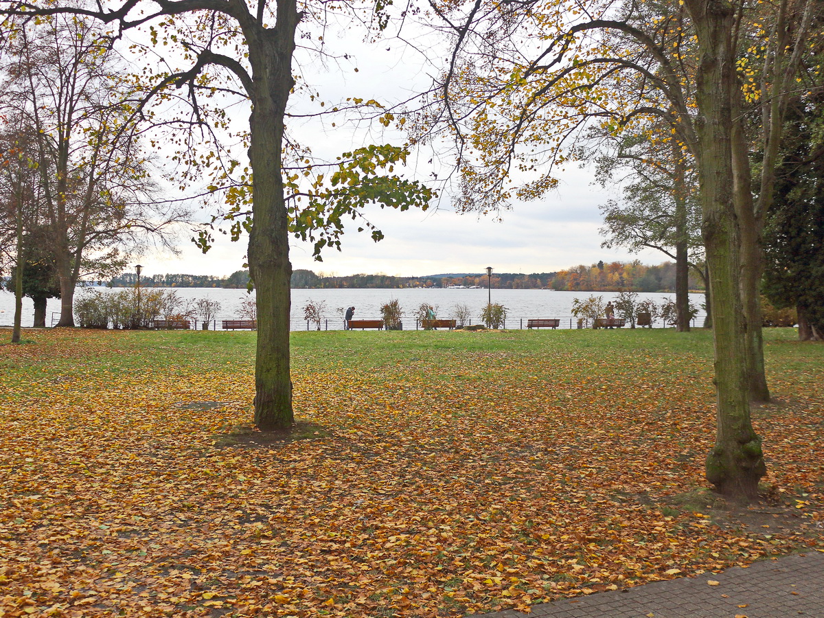 Bad Saarow am 06. November 2021, Blick von der Platanenstraße in Richtung Uferpromenade auf den Schamützelsee im Landkreis Oder-Spree im Land Brandenburg.