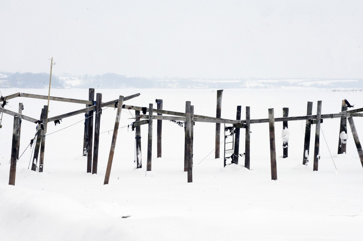 Badebrücke vom Eis zerstört - bei Kollund an Flensburger Förde. Aufnhame: 14. Februar 2010.