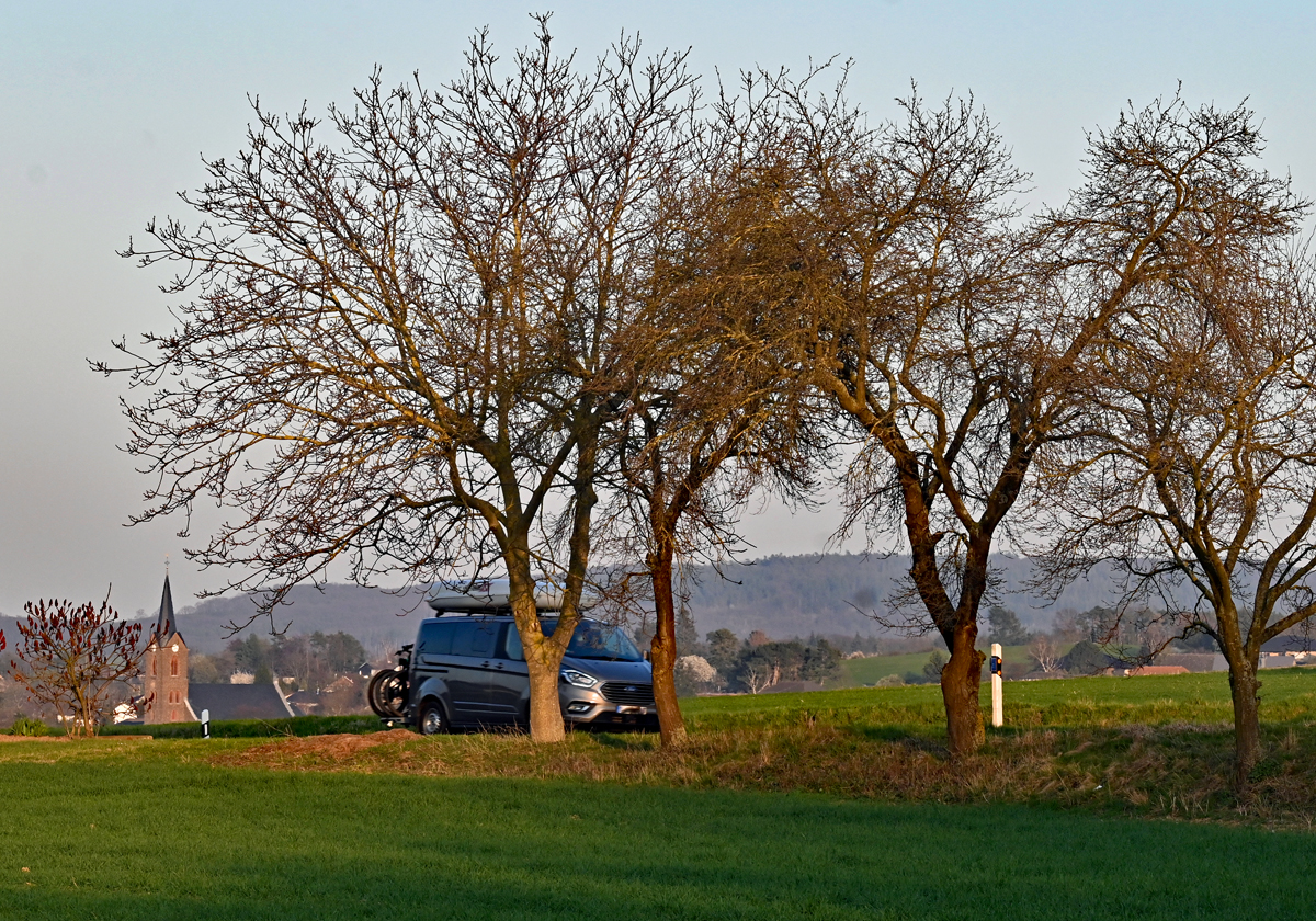 Bäume und Kirche in Eu-Kirchheim im Abendlicht - 31.03.2021