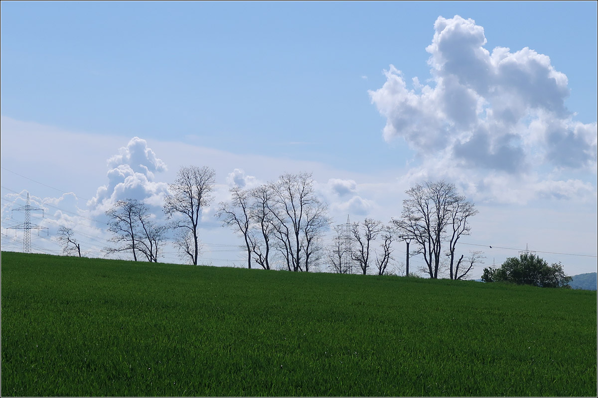 Bäume (und Hochspannungsmasten) vor Wolkenhimmel -

Landschaft zwischen Waiblingen Korber Höhe und Waiblingen Beinstein.
 
13.05.2021 (M) 