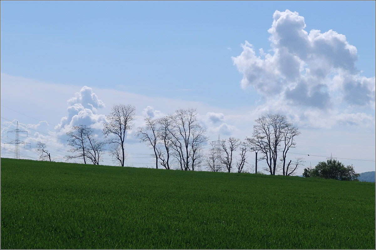 Bäume (und Hochspannungsmasten) vor Wolkenhimmel -

Landschaft zwischen Waiblingen Korber Höhe und Waiblingen Beinstein.
 
13.05.2021 (M) 