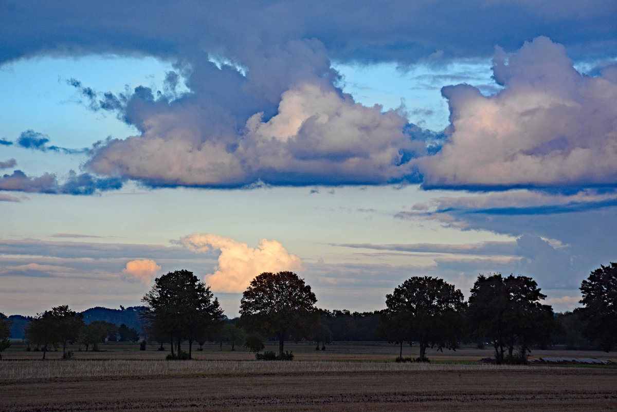 Bäume und Wolken bei Abendlicht in der Nähe von Euskirchen - 08.10.2016