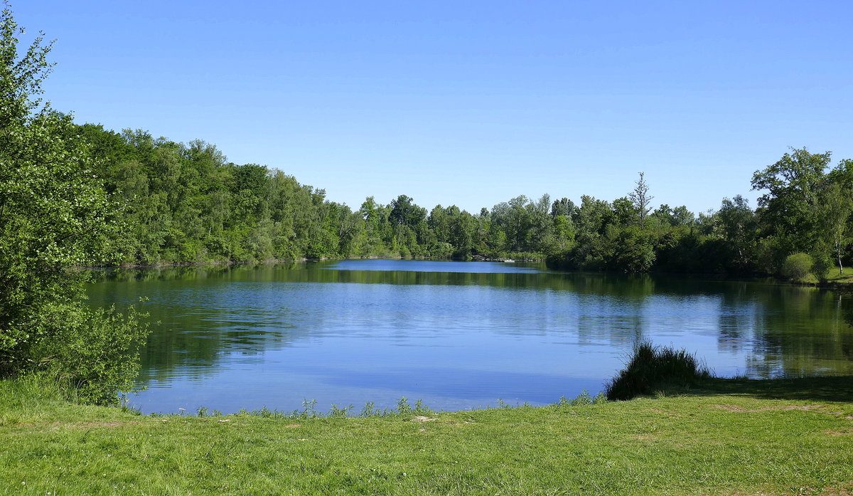 Baggersee  Fohlengarten  bei Altenheim in der Ortenau, Mai 2020