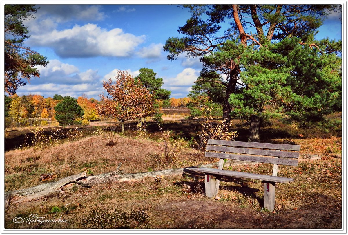 Bank mit bester Aussicht auf den Silvestersee, der sich am Fuße der Anhöhe befindet.
Osterheide Schneverdingen. Lüneburger Heide im November 2018.