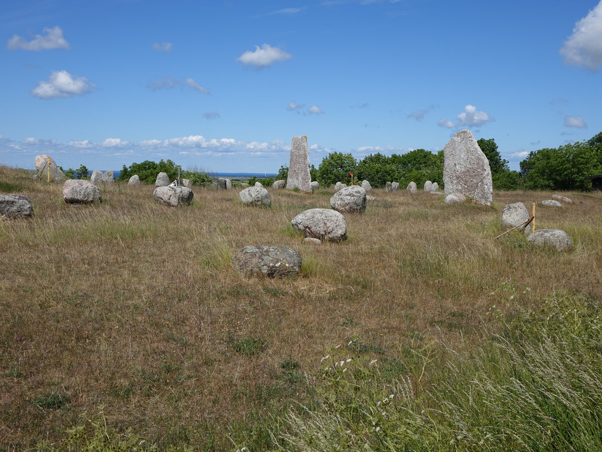 Barby Gräberfeld bei Gettlinge, Öland (13.06.2016)