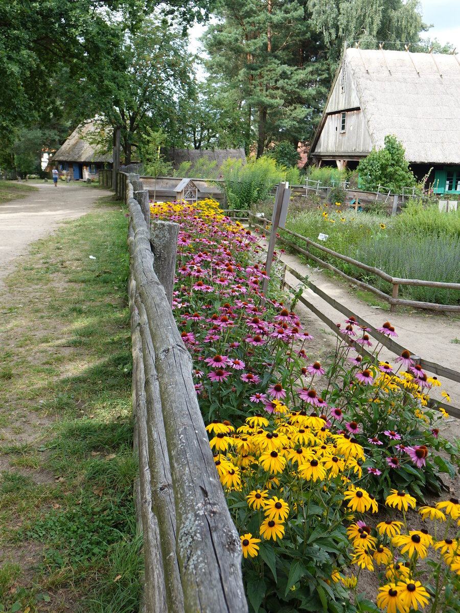 Bauerngarten im Freilichtmuseum in Olsztynek / Hohenstein (04.08.2021)