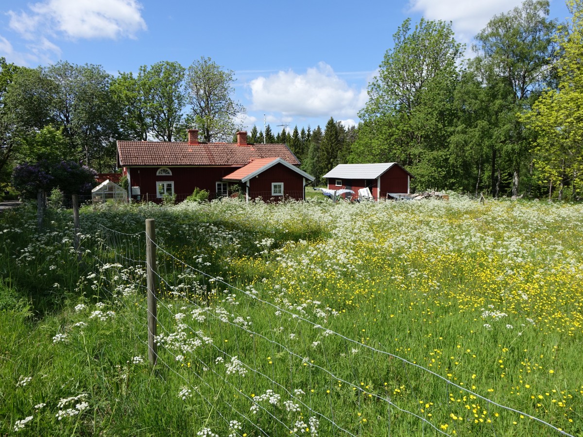 Bauernhof bei Kattorp bei Habo, Jönköping Län (14.06.2015)