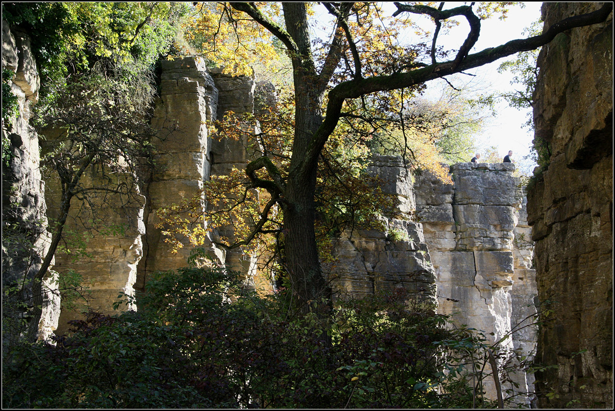 Baum und Fels -

In den Hessigheimer Felsengärten.

30.10.2016 (M)