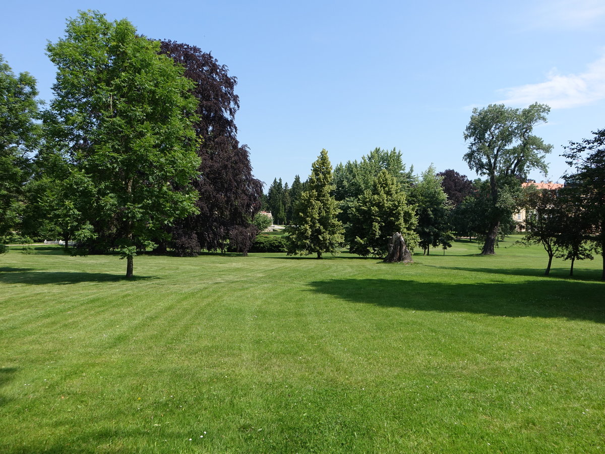 Baumbestand im Schloßpark Lany, Středočeský kraj (27.06.2020)