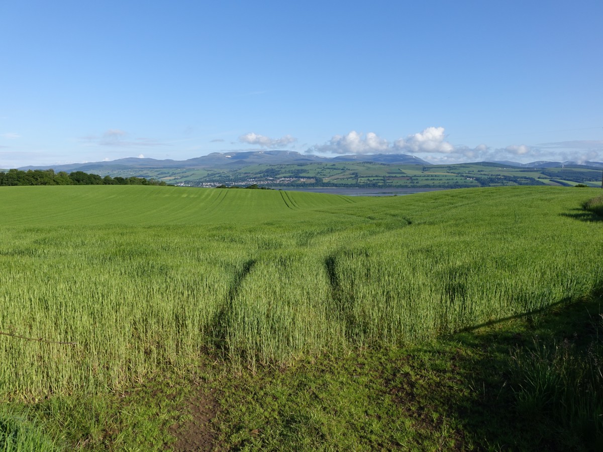 Beauly Firth bei Easter Kinkell (06.07.2015)