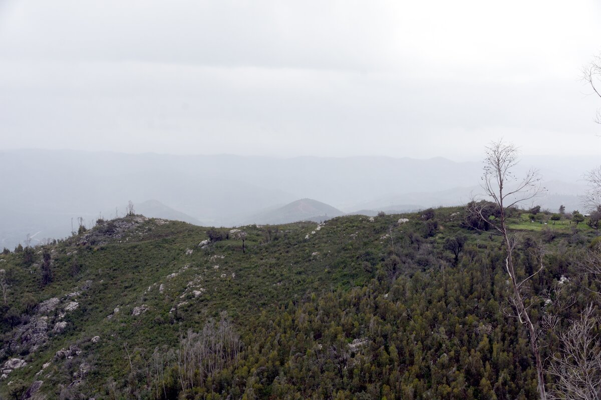 bei ALFERCE, 21.03.2022, in der Serra de Monchique auf ungefähr 700 m über dem Meeresspiegel