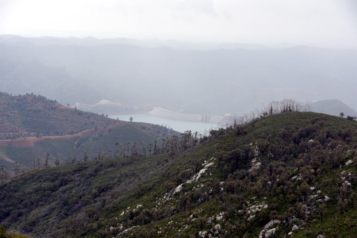 bei ALFERCE, 21.03.2022, in der Serra de Monchique auf ungefähr 700 m über dem Meeresspiegel mit Blick auf den Odelouca-Stausee