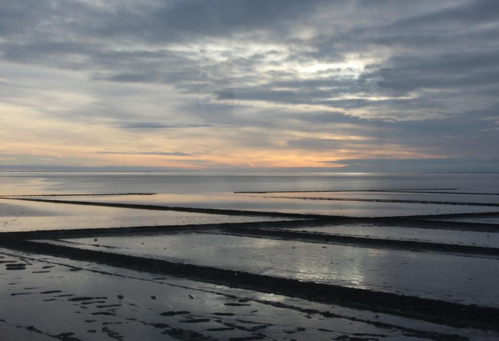 Bei der Fahrt über den Hindenburg Damm zurück zum
Festland am 23.11.2013 bot sich dieser Anblick über das
Wattenmeer vor Sylt.