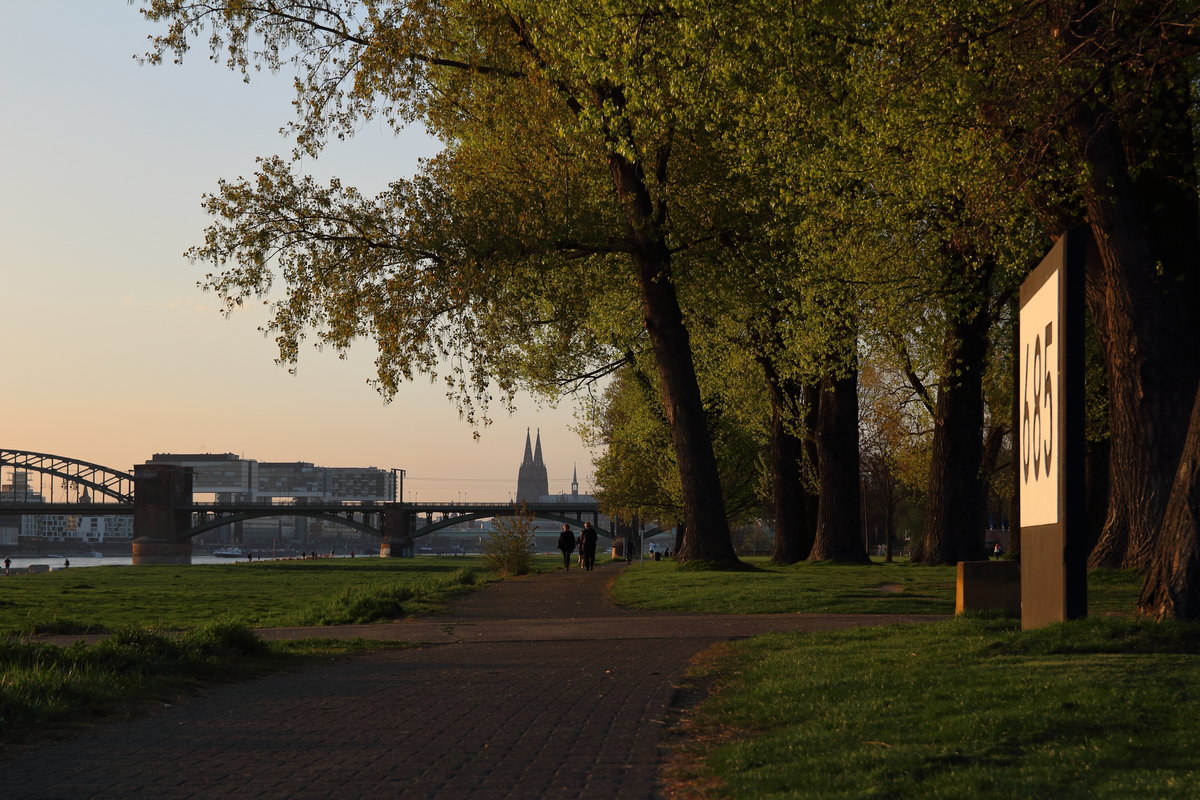 Bei Kilometer 685 des Rheins schoss ich dieses Bild bei frühlingshafter Abendstimmung.

Köln Poller Wiesen, 03. April 2017