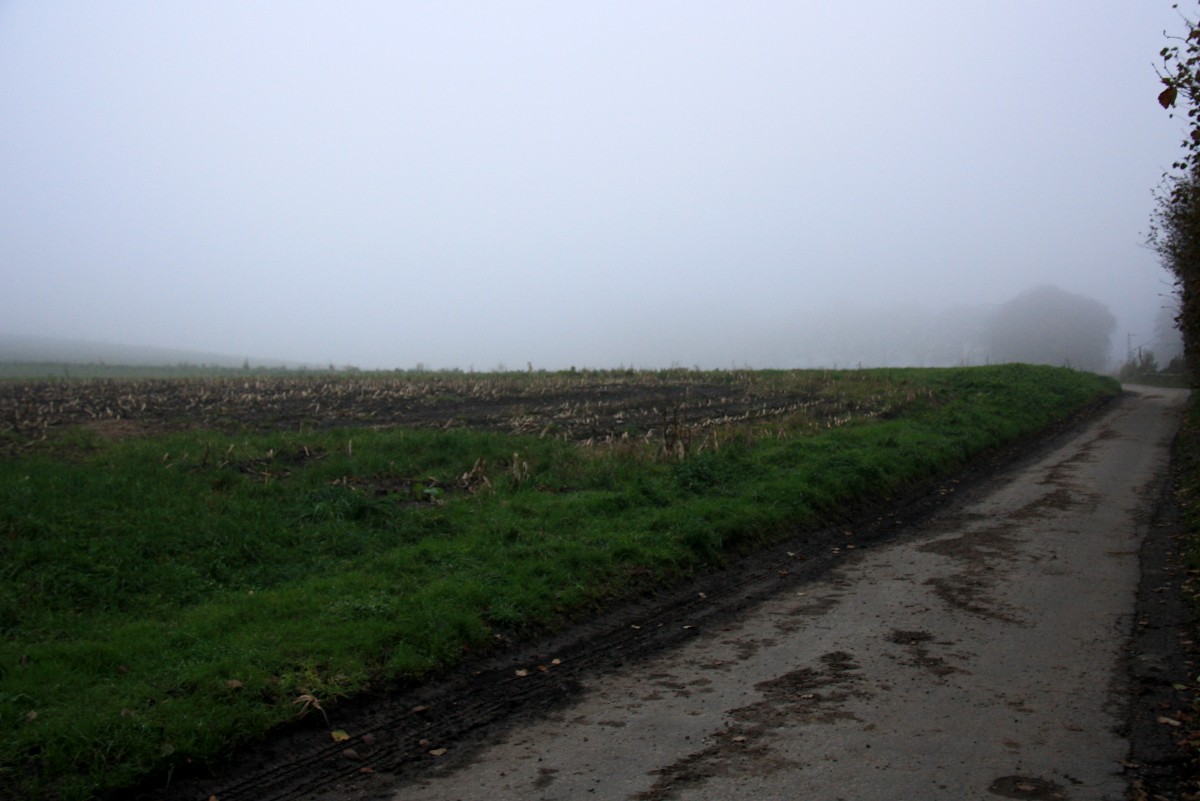 Bei Nebel am Gemmenicher-Weg am Nachtmittag vom 16.11.2013.