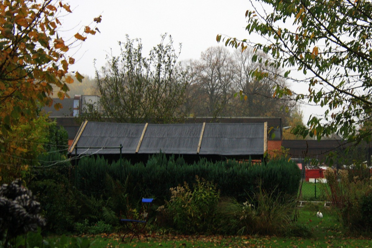 Bei Regen im Garten in Kohlscheid-Bank am 12.11.2013.