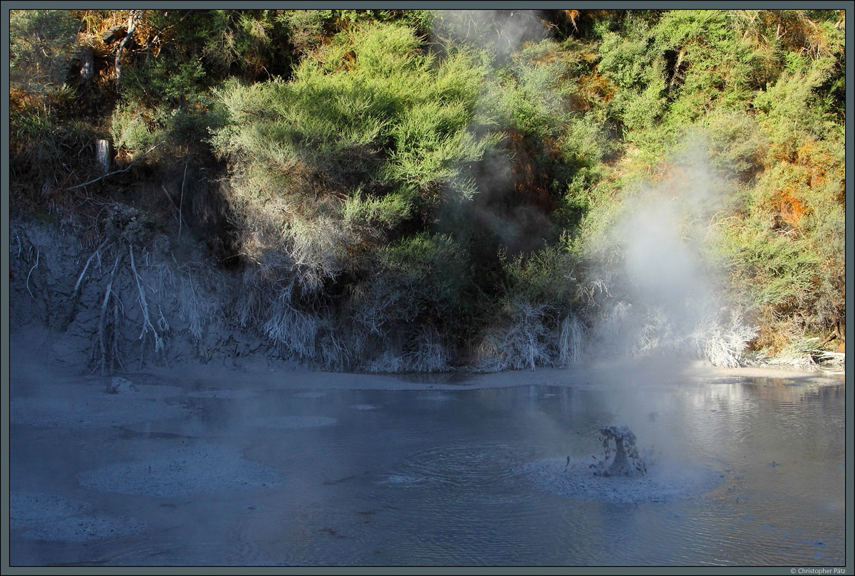 Bei Rotorua treten beständig vulkanische Gase an die Oberfläche. Dies zeigt sich eindrucksvoll in brodelnden Schlammlöchern. (17.10.2016)