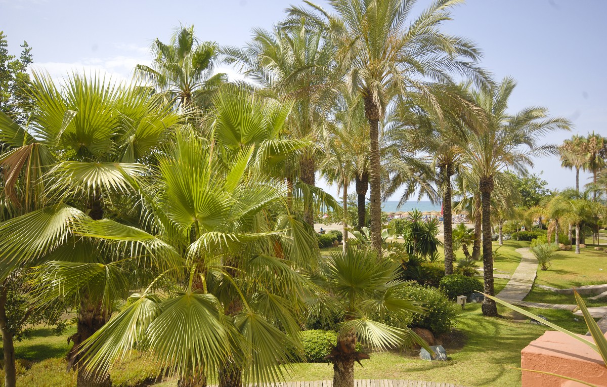 Benalmádena in Andalusien. Aufnahmedatum: 26. Juli 2014.