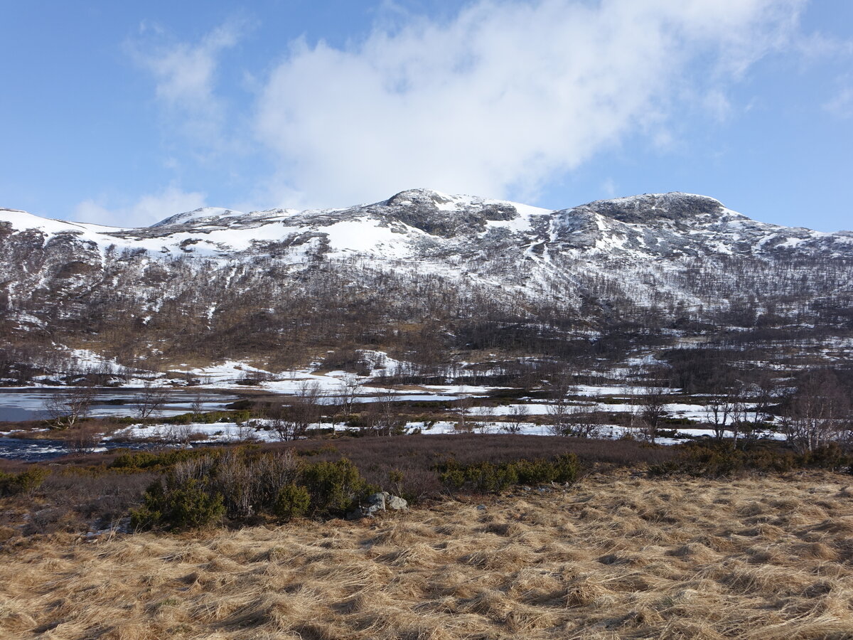 Berg Kyrkjenose (1306 M.) bei Kyrkjestolane (26.05.2023)