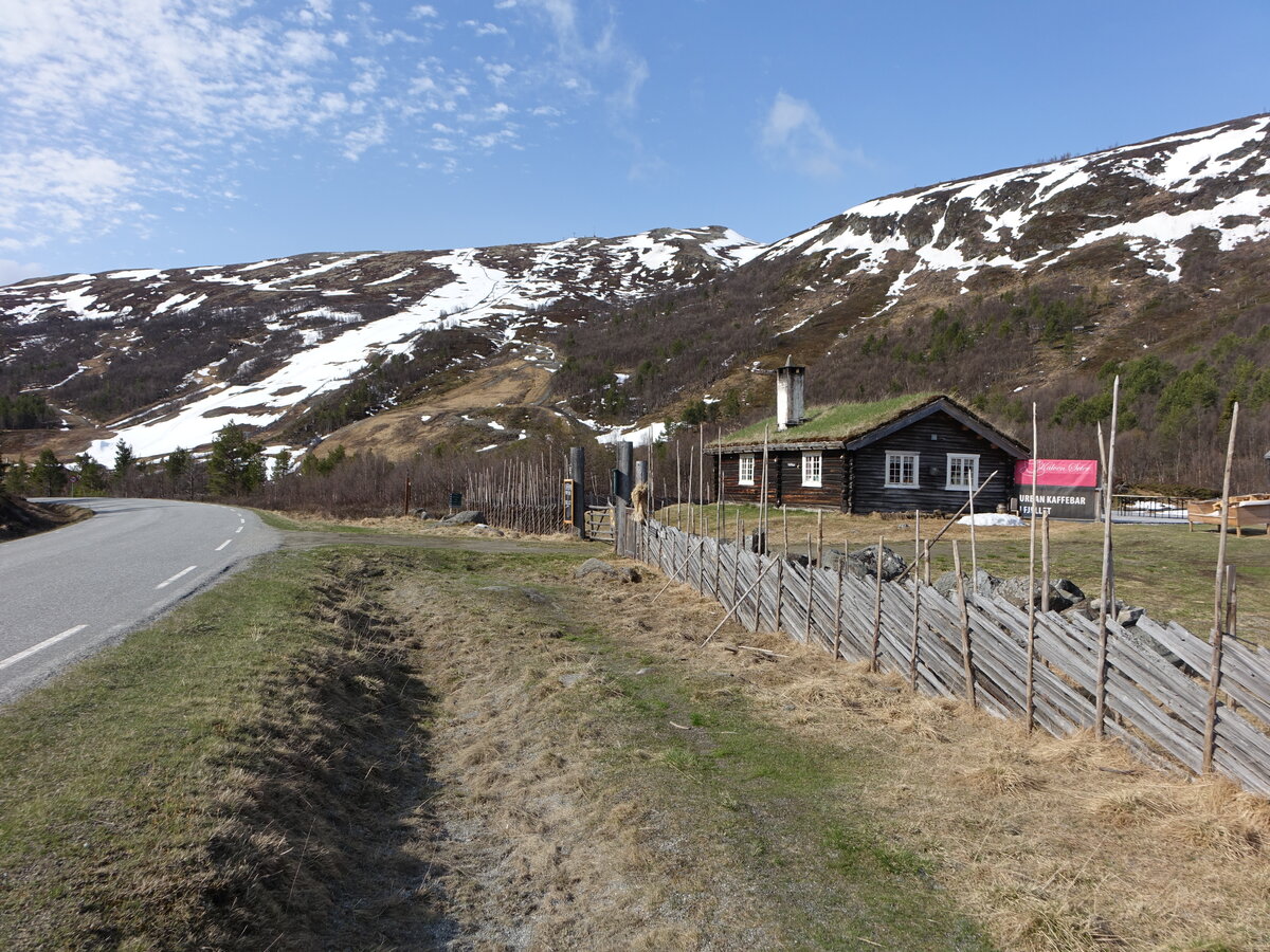 Berg Trollhoe (1370 M.) bei Lemonsjö, Innlandet (25.05.2023)