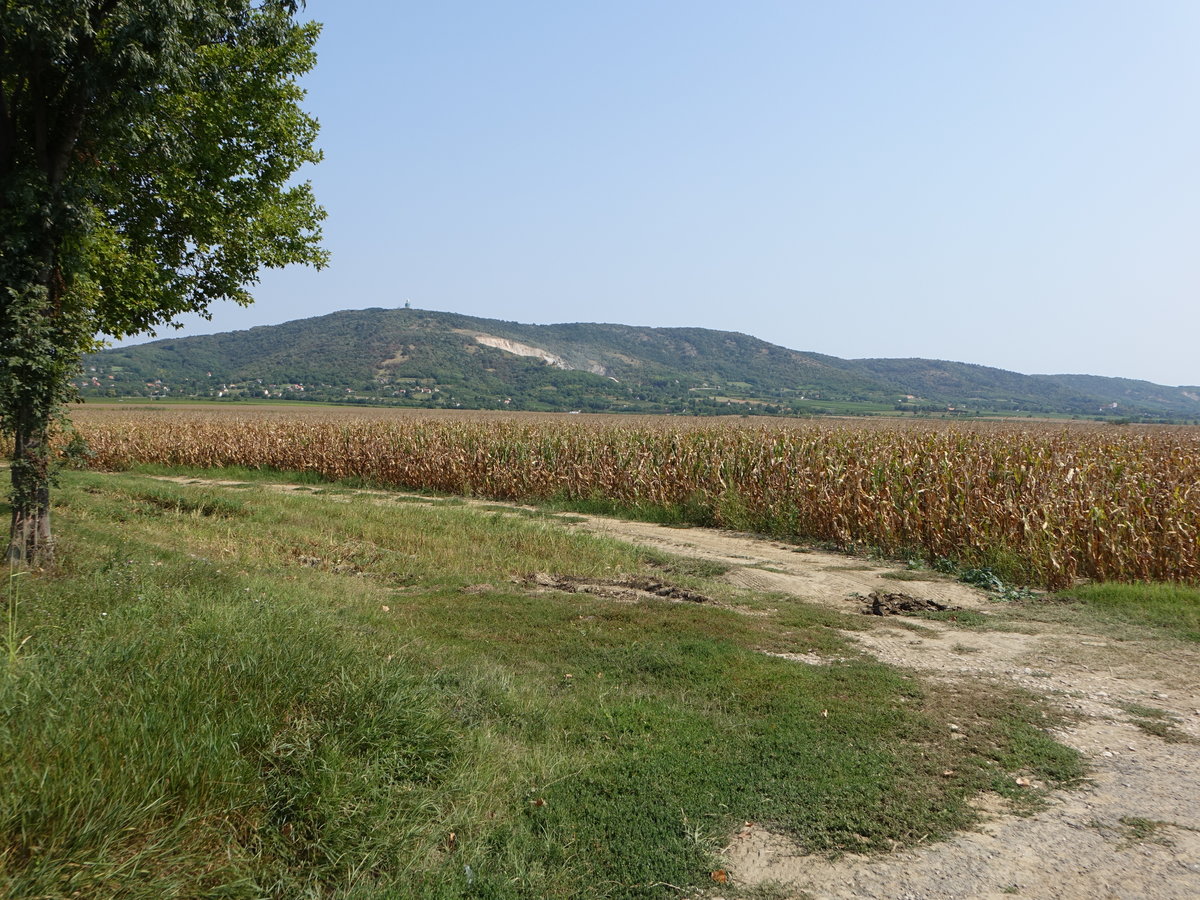 Berge des Villany Gebirge bei Máriagyűd (31.08.2018)