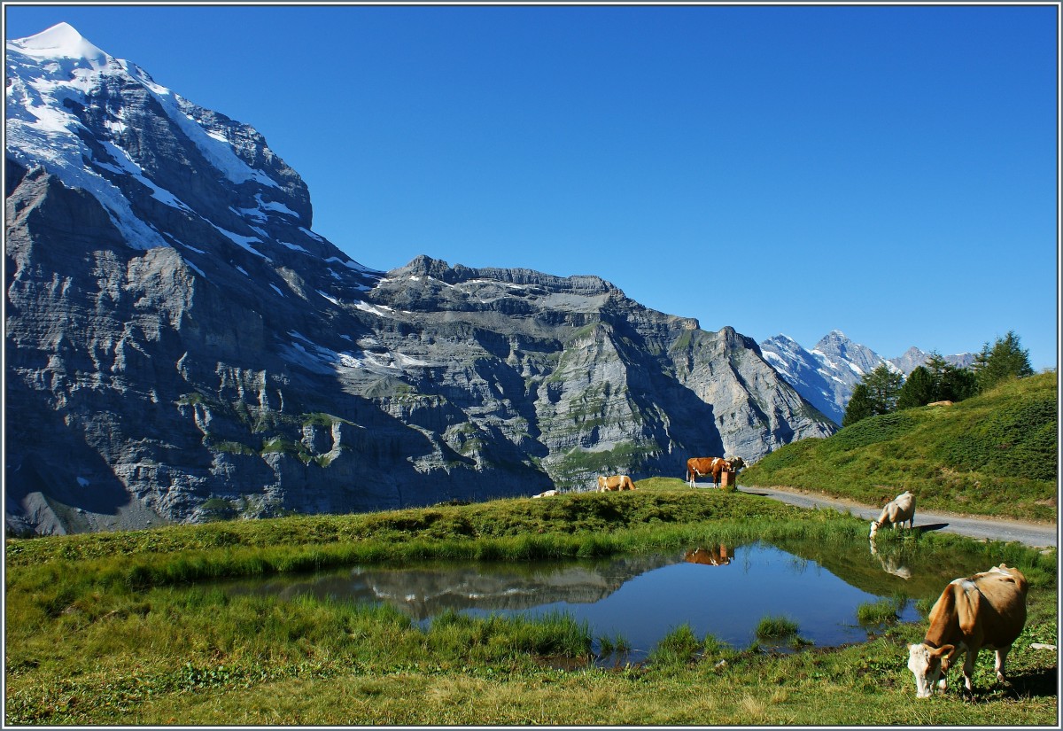 Bergidyll in der Jungfrauregion.
(21.08.2013)