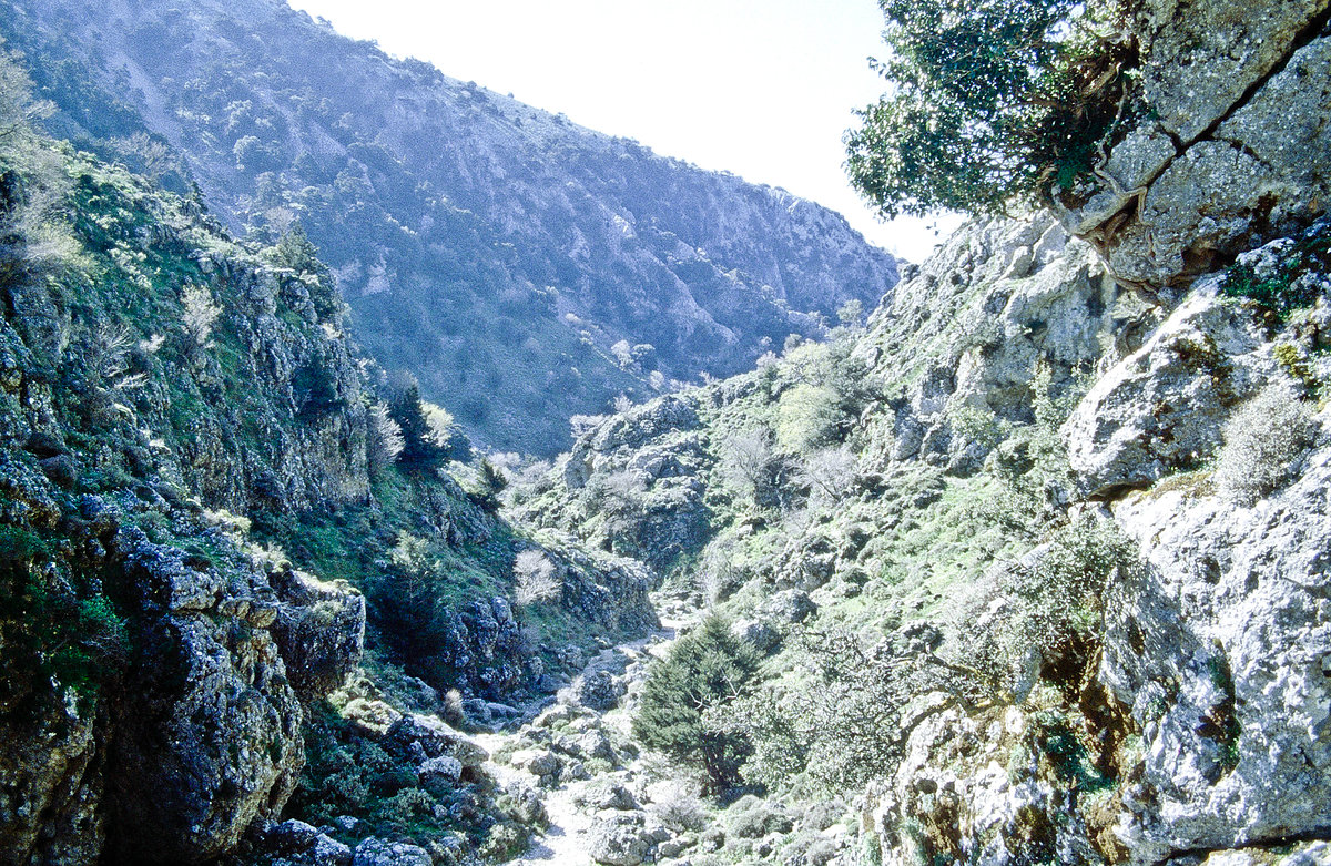 Berglandschaft auf Kreta südlich von Koxare. Bild vom Dia. Aufnahme: April 1999.