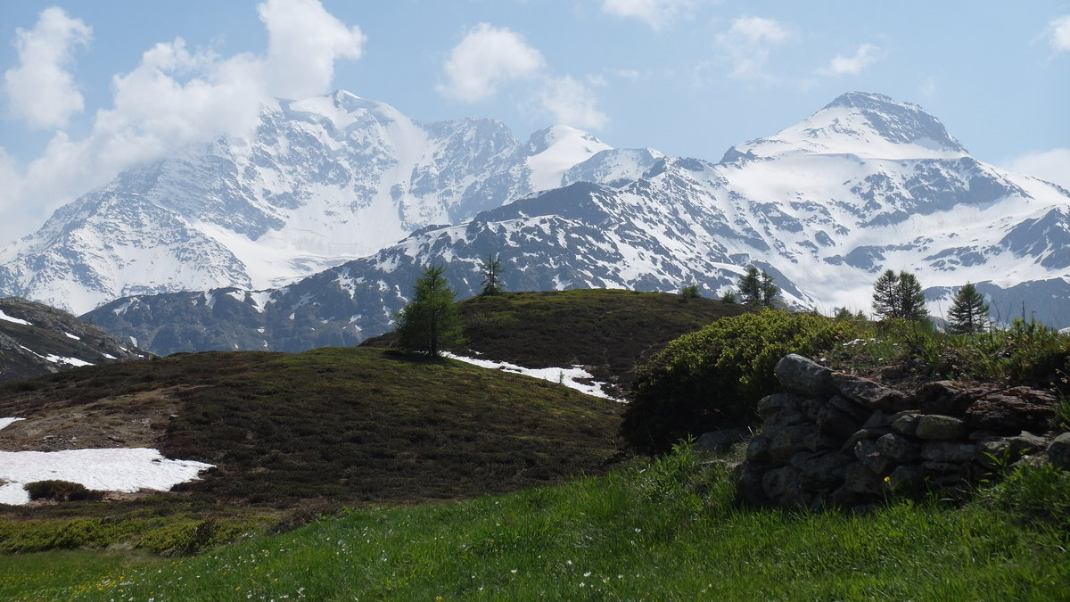 Bergpanorama an der Simplon-Passhöhe (2005 m); 10.06.2014
