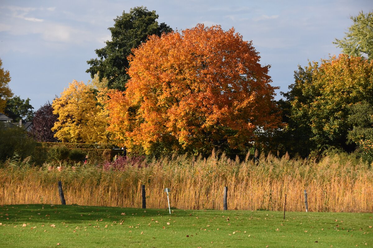 BERLIN, 13.10.2019, im Britzer Park im Ortsteil Britz