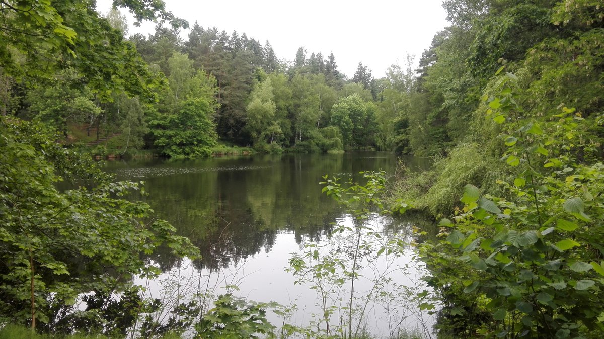 Berlin. Blick von Norden auf den Sausuhlensee im Park des Friedhof Heerstraße am Olympiastadion in Berlin. Aufgenommen am 07.06.2020.