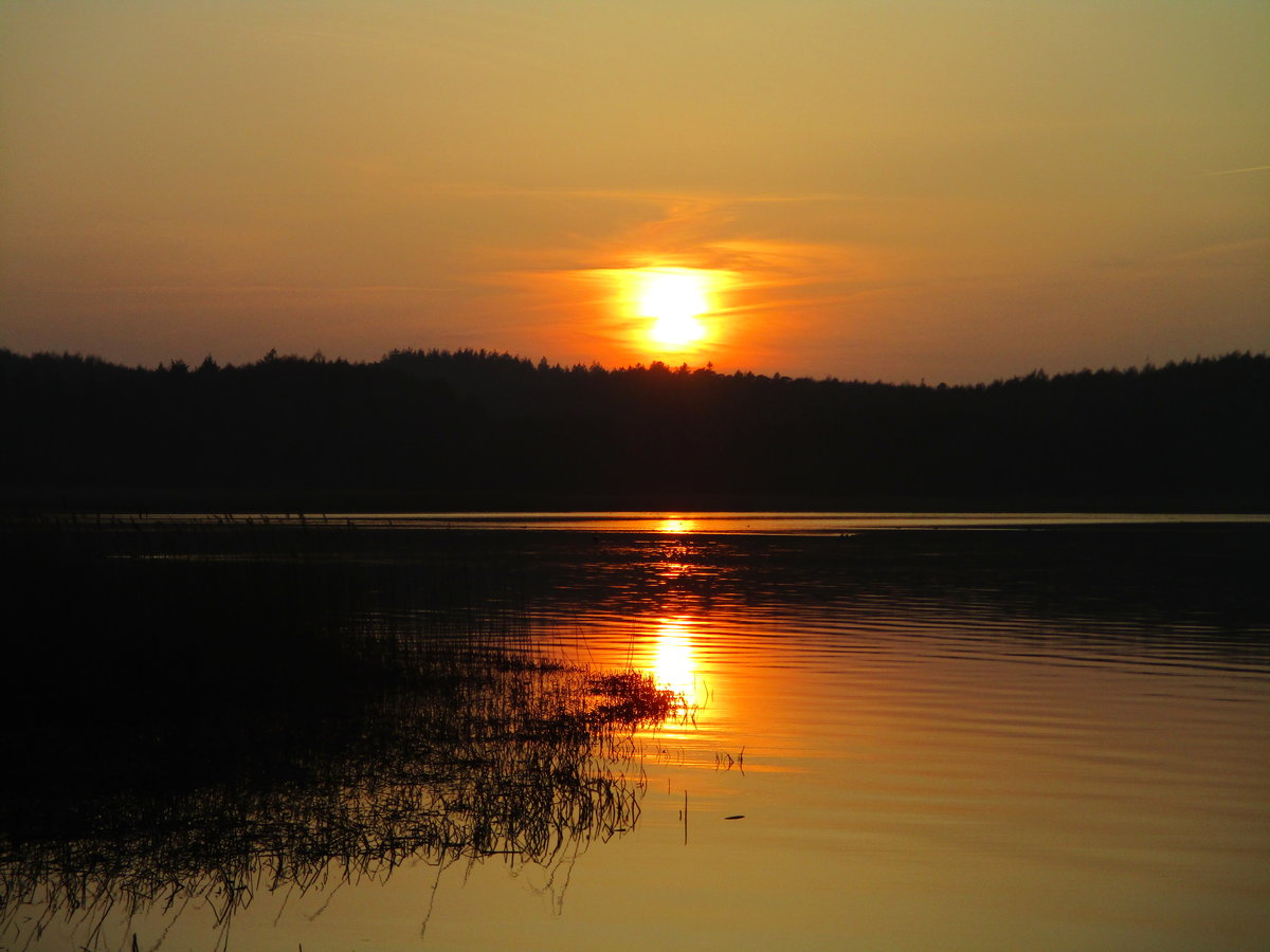 Bevor die Abendsonne versank fotografierte ich Diese über den Großen Jasmunder Bodden bei Lietzow am 25.März 2021.