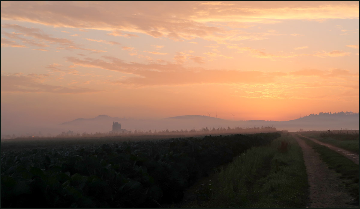 Bevor die Sonne zu sehen war -

Blick von Kernen-Rommelshausen in Richtung Weinstadt-Endersbach.

09.11.2020 (M)