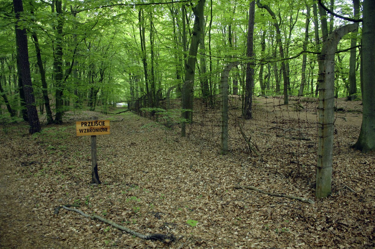 Biała Góra.

Woliński Park Narodowy - Nationalpark Wollin.

Aufnahmedatum: 22. Mai 2015