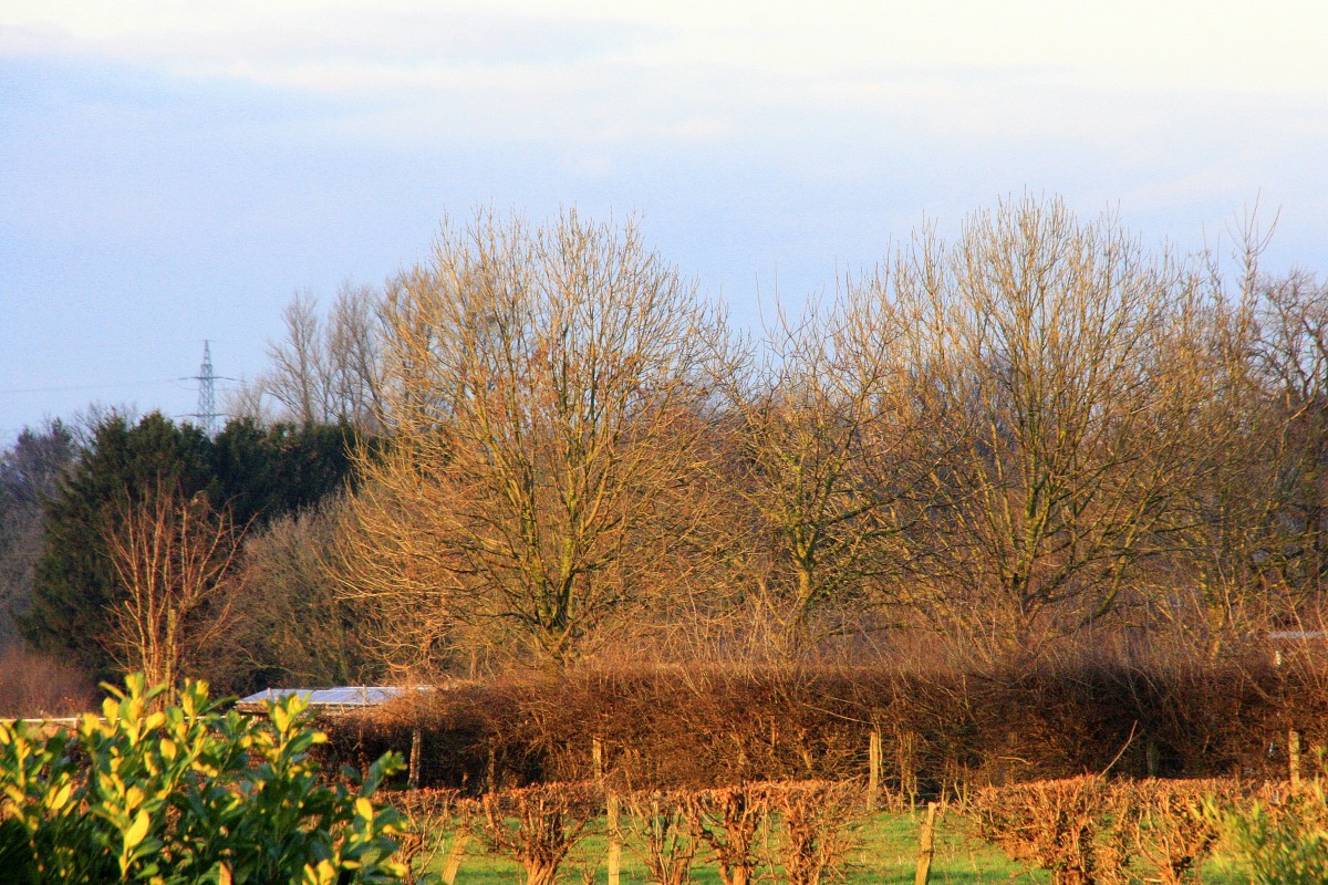 Bilck in Richtung Holland. Aufgenommen in Kohlscheid-Bank in der Abendsonne am Abend vom 19.2.2014.