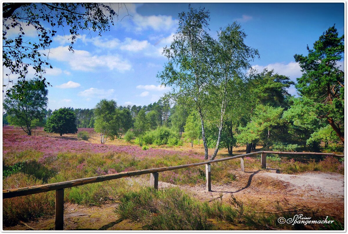 Bispingen/Behringen, Lüneburger Heide, der Blick geht über das Tal der Brunau zum Tütsberg.
Mitte August 2022.