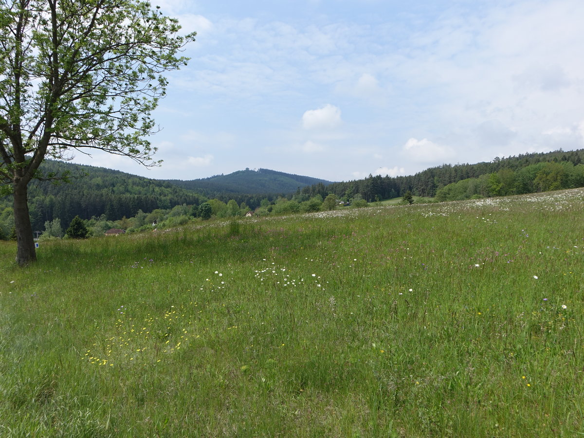 Blansker Wald bei Zlata Koruna, Jihočeský kraj (26.05.2019)