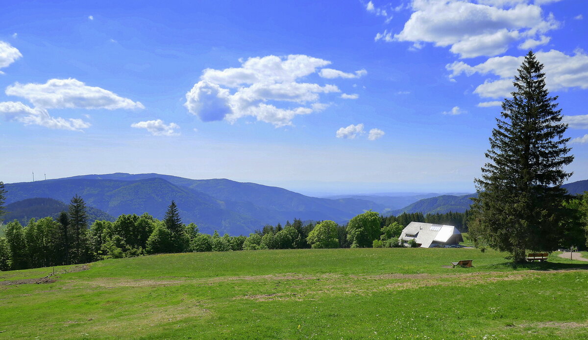 Blick vom 1149m hohen Brend im Mittleren Schwarzwald Richtung Westen, Juni 2022