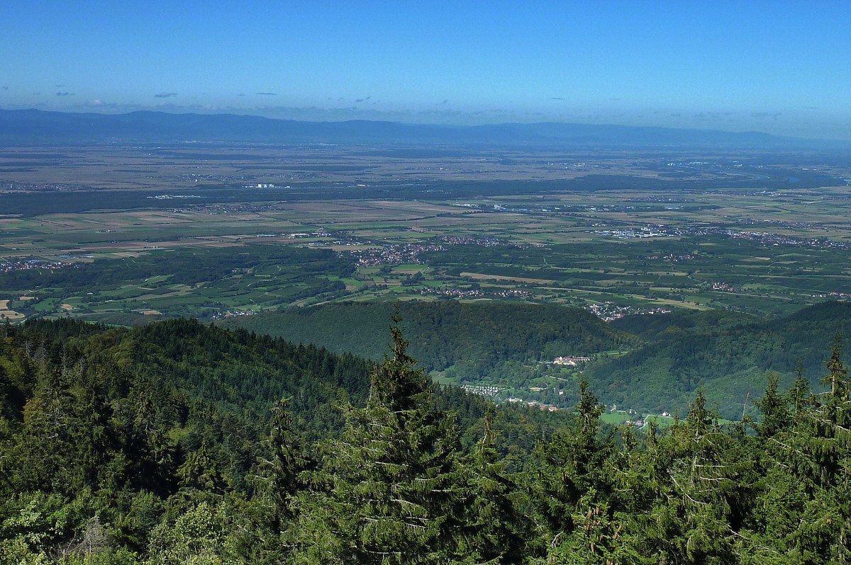 Blick vom 1165m hohen Hochblauen im sdlichen Schwarzwald Richtung Nord-West in die Rheinebene, am Horizont die Vogesen, Sept.2011