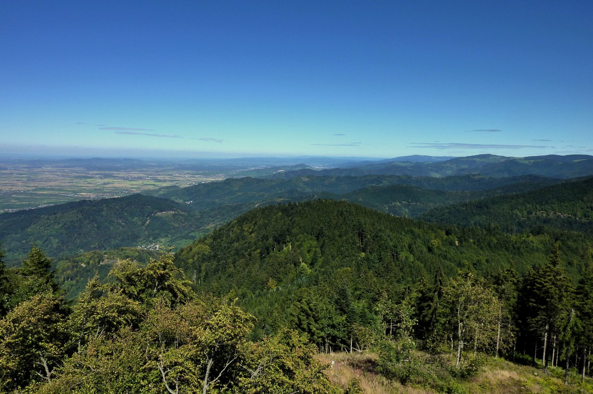 Blick vom 1165m hohen Hochblauen ber die Schwarzwaldberge Richtung Norden, links die Rheinebene, Sept.2011