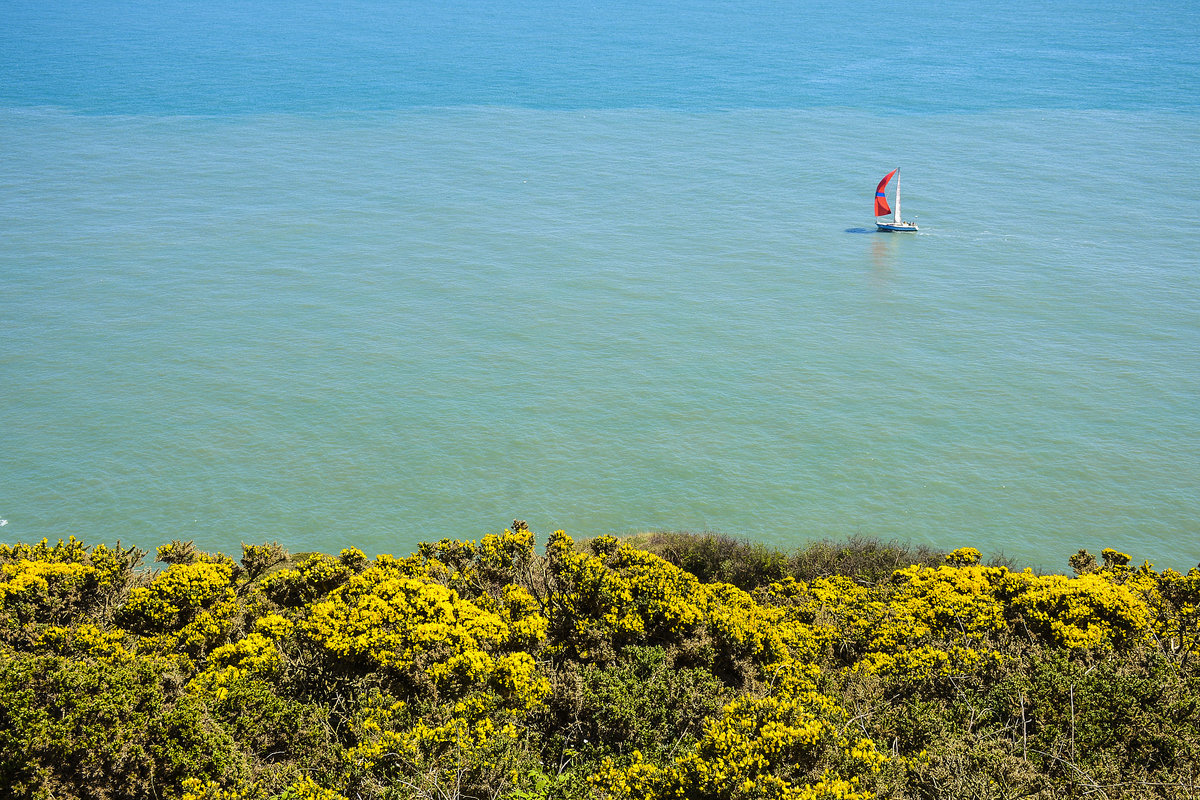 Blick von »The Summit« an Howth Cliff Walk - Irland. Aufnahme: 12. Mai 2018.