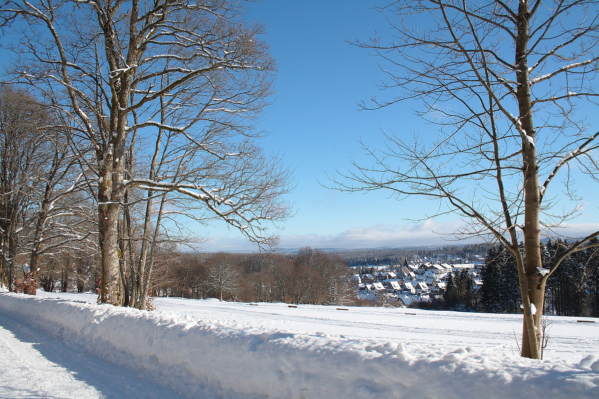 Blick von der Alten Harzburger Straße über Braunlage Südwest Richtung Südostharz; Aufnahme vom Nachmittag des 13.02.2021...