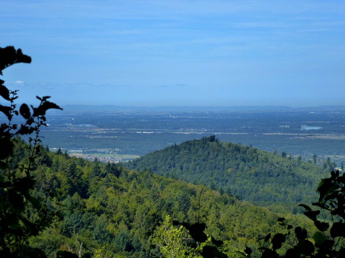 Blick vom Alten Schlo in Baden-Baden in die Rheinebene, Aug.2015