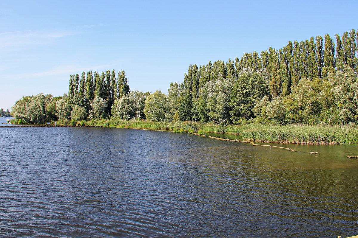 Blick am 15. August 2017 vom  Gode Wind - Hauptstadtkogge  (Restaurant) am Rummelsburger See zum Ufer an Gedenkort Rummelsburg (Berlin Lichtenberg).  

